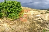 IMG_7145 - Copy