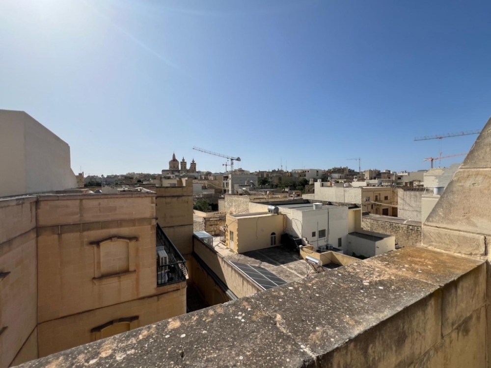 WhatsApp Image 2026-02-07 at 11.01.48